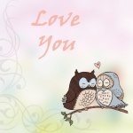 Owl Cute Illustration Background