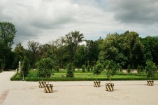 Park In Wilanow