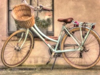 Quaint Bike