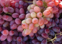 Ripening Grapes