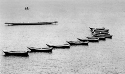Saikung Harbour Rowing Boats