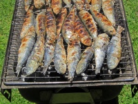 Sardines On The Grill