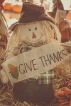 Thanksgiving Scarecrow