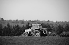 Tractor In The Fields