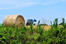 Tractor Loading Hay Bales