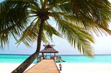 Tropical Seascape Resort
