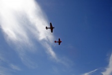 Two Harvards Against The Sky