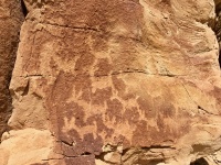 Ute Petroglyphs In Colorado