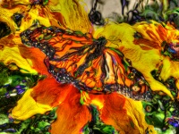Van Gogh Style Butterfly
