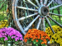 Wagon Wheel With Flowers