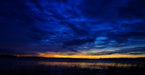 Wetlands Sunrise