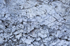 White Quartz Rocks