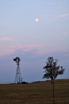 Windmill And Moon