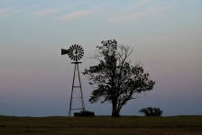 Windmill And Tree At Sunset