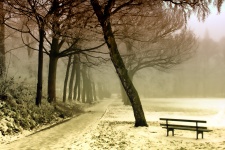 Winter Tranquillity