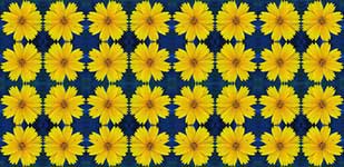 Yellow Daisy Pattern