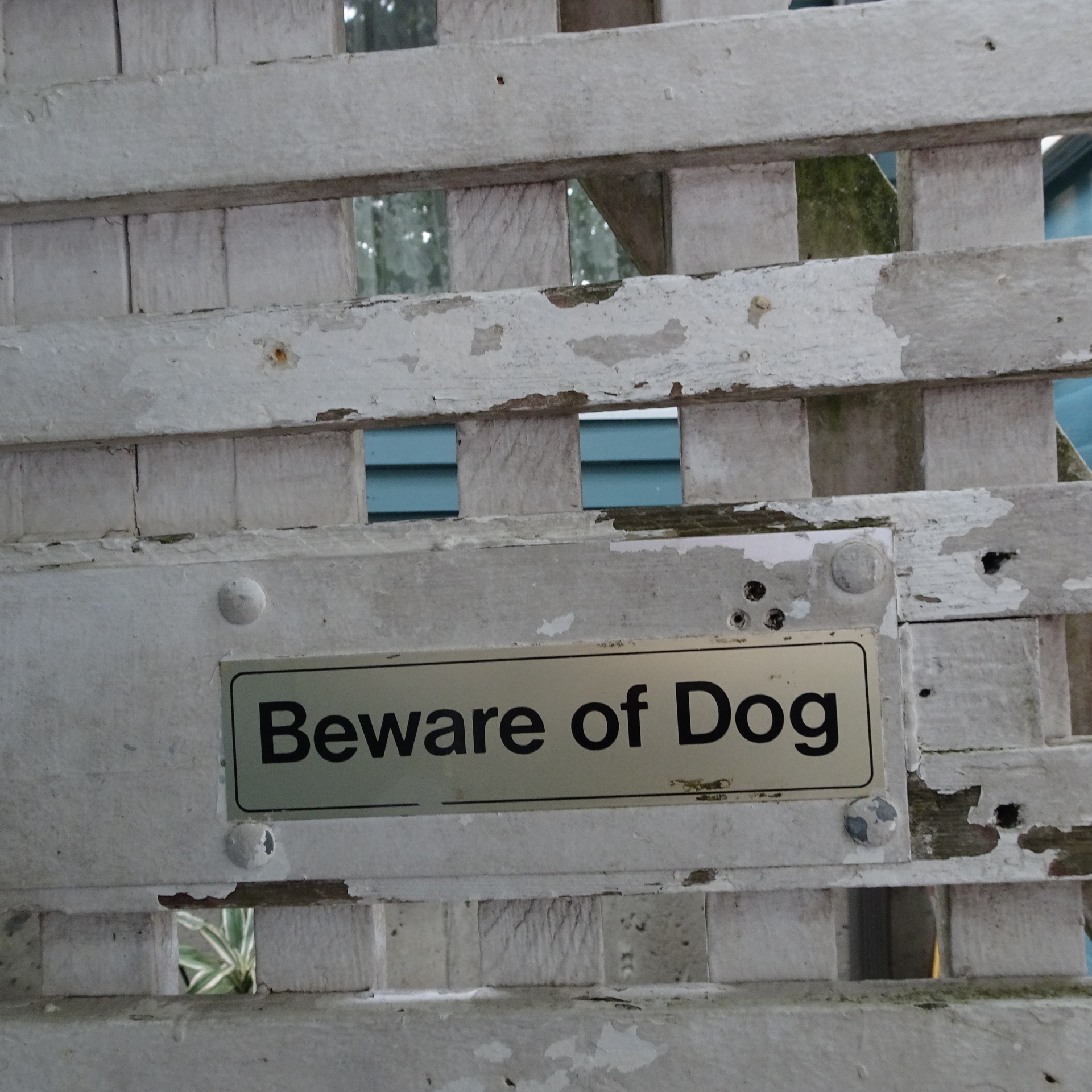Beware Of Dog