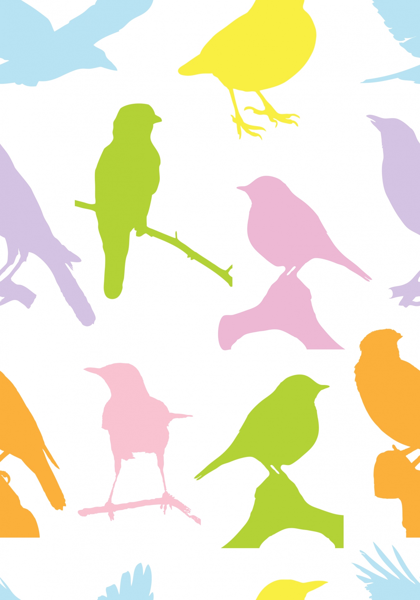 Birds Colorful Wallpaper Pattern