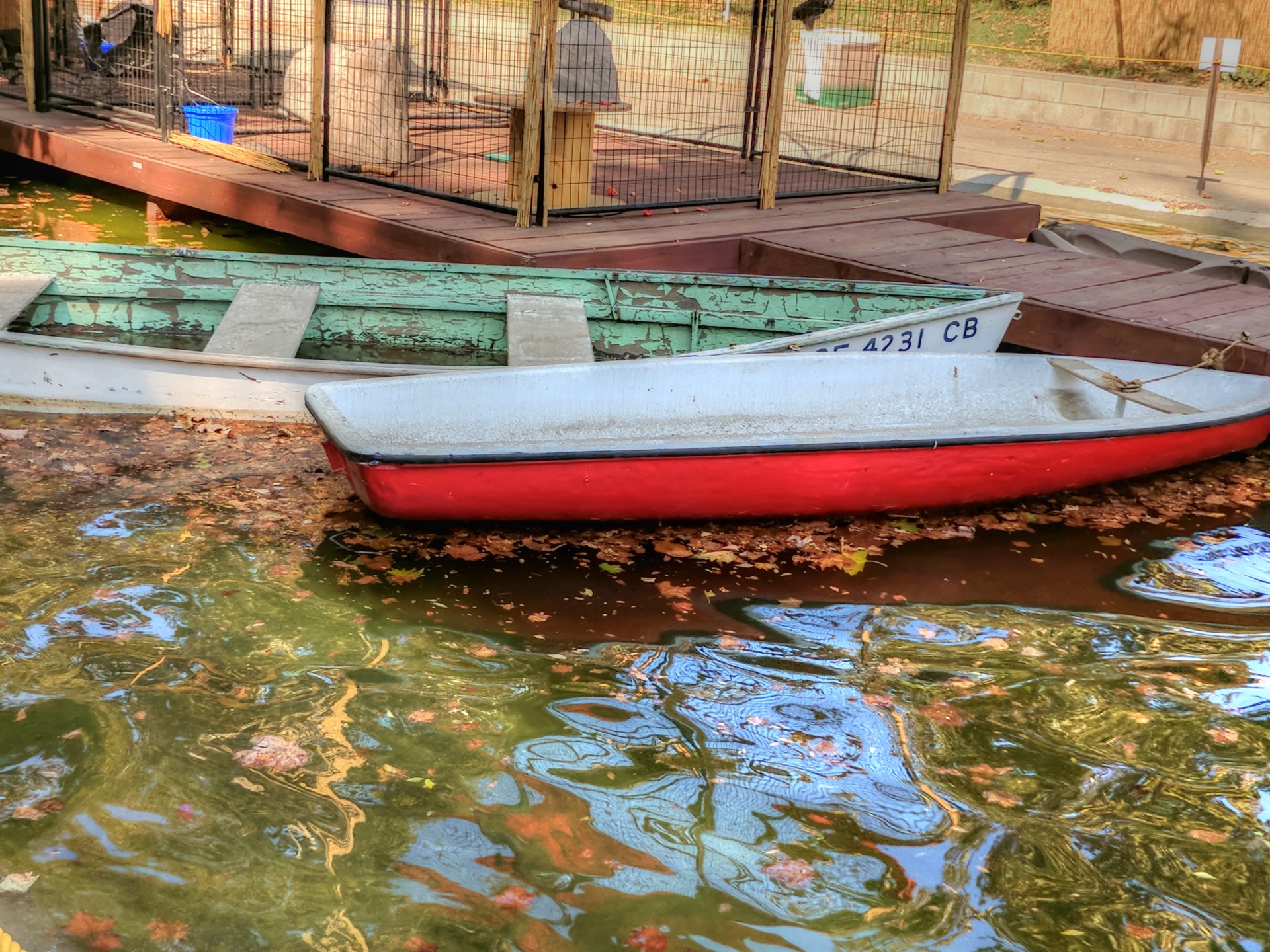 two rowboats in a lagoon with floating autumn leaves