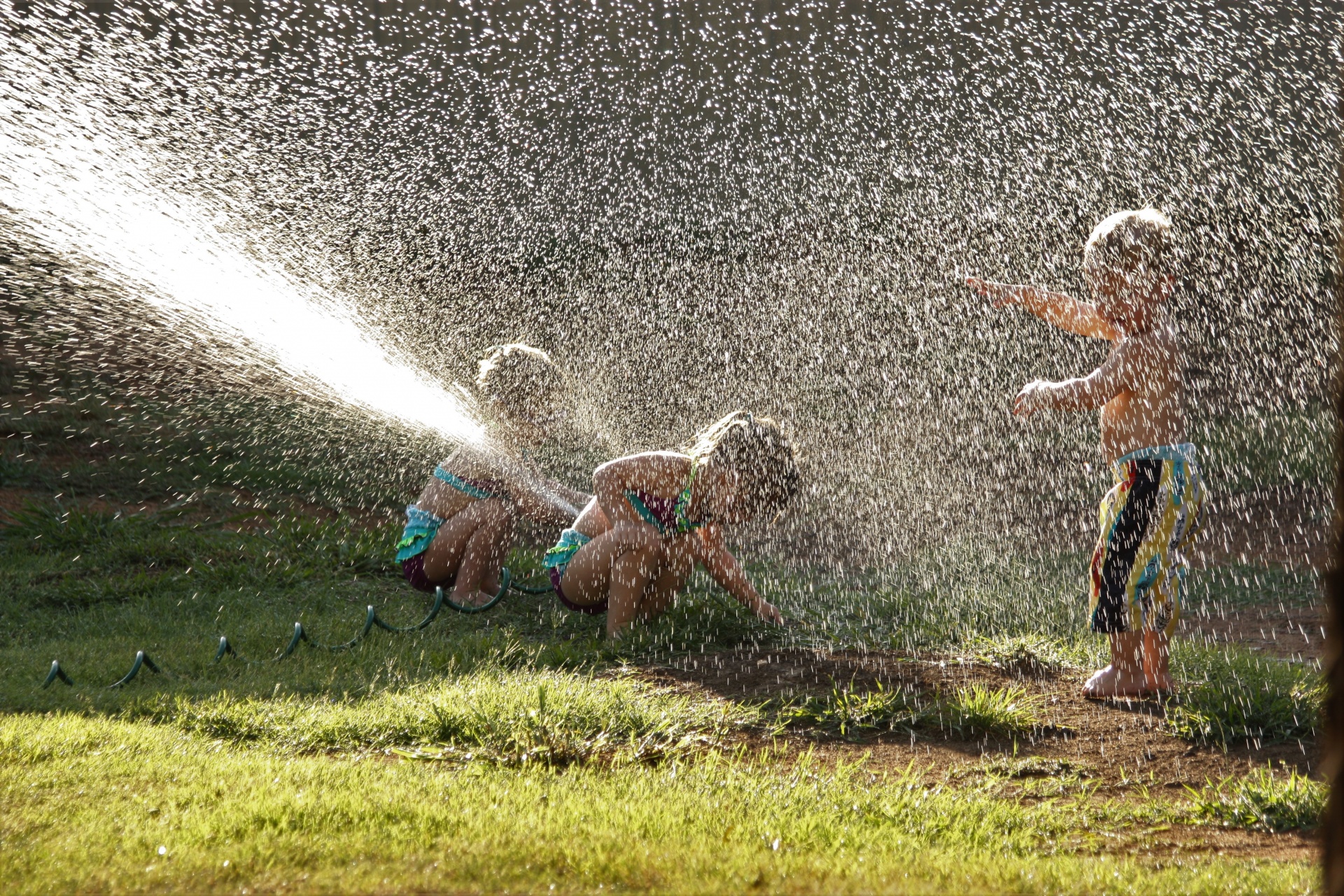 Three young children having fun playing in a water sprinkler on a hot summer day.