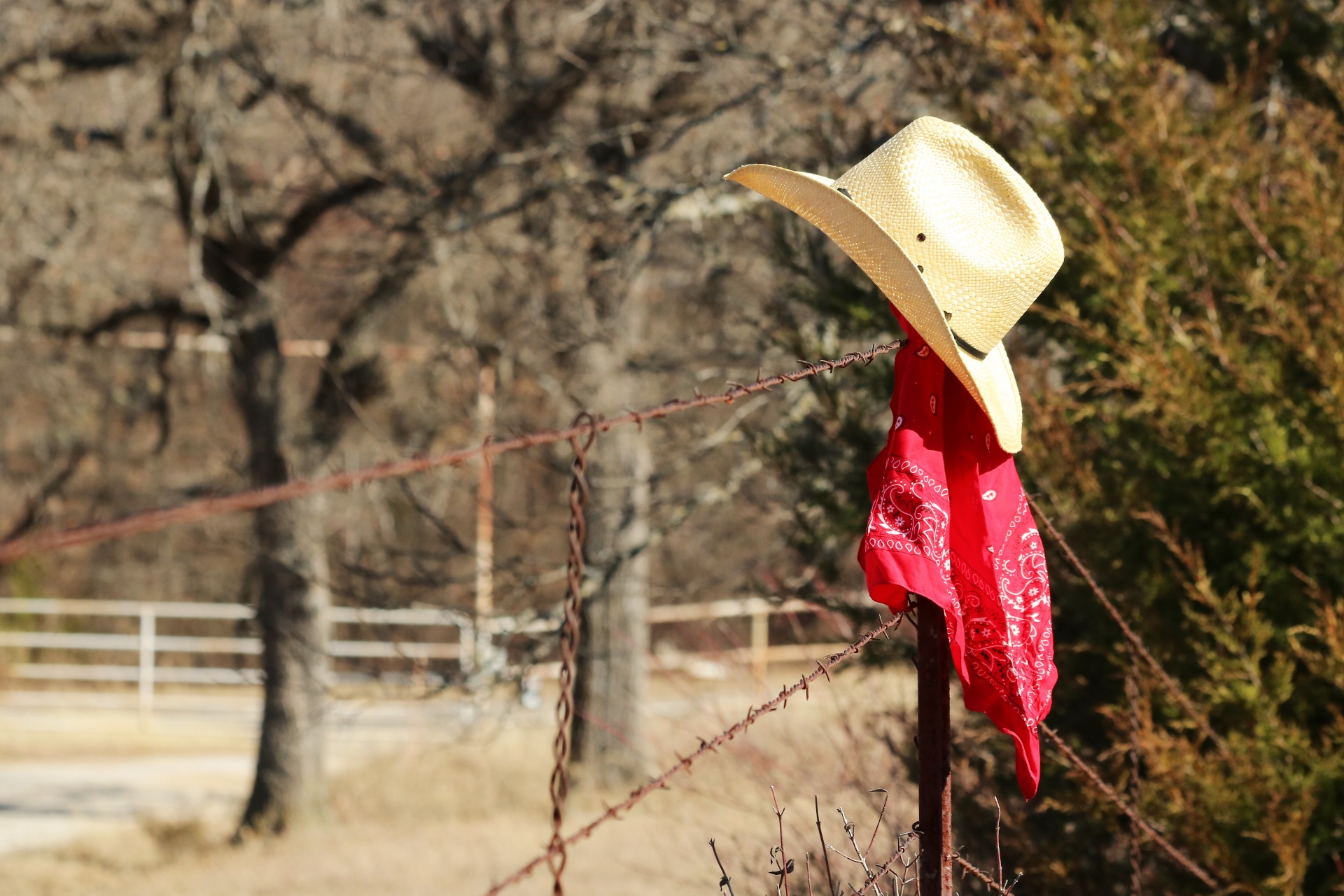 Cowboy Hat And Bandana Border