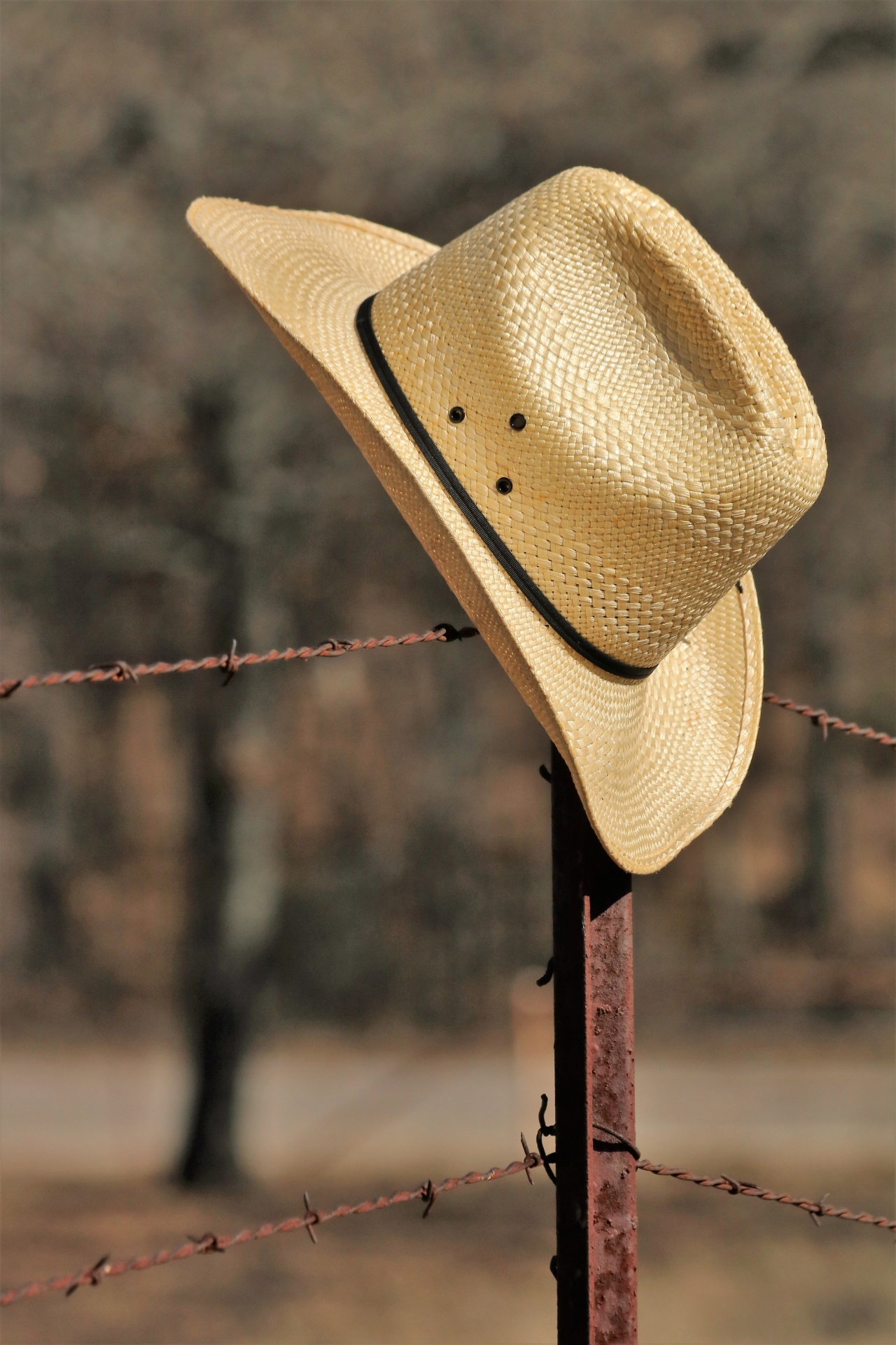 Cowboy Hat On Barbed Wire Fence 2