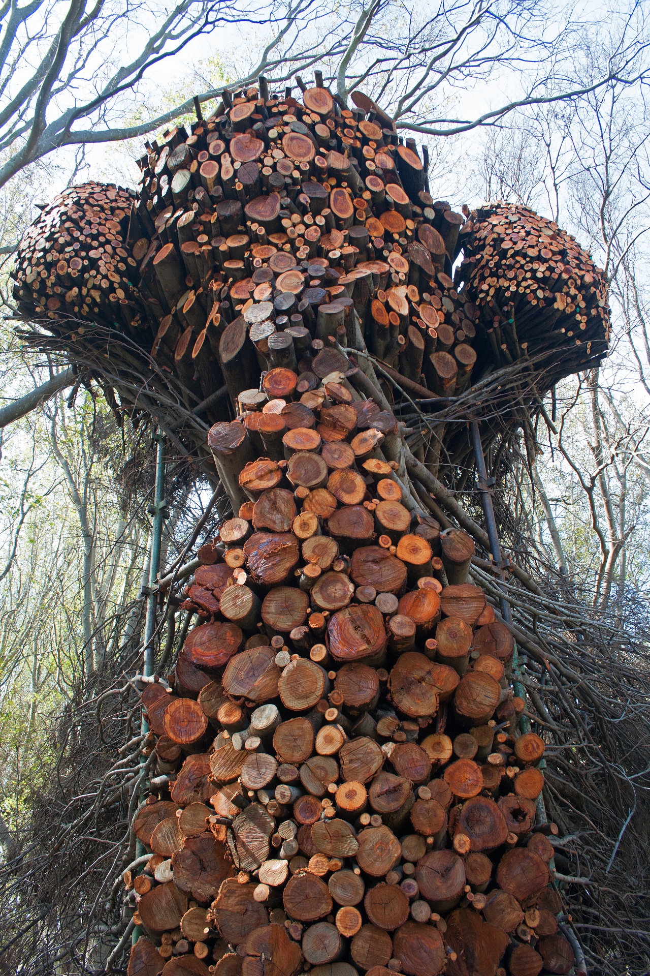 cut branches stacked up to form artwork