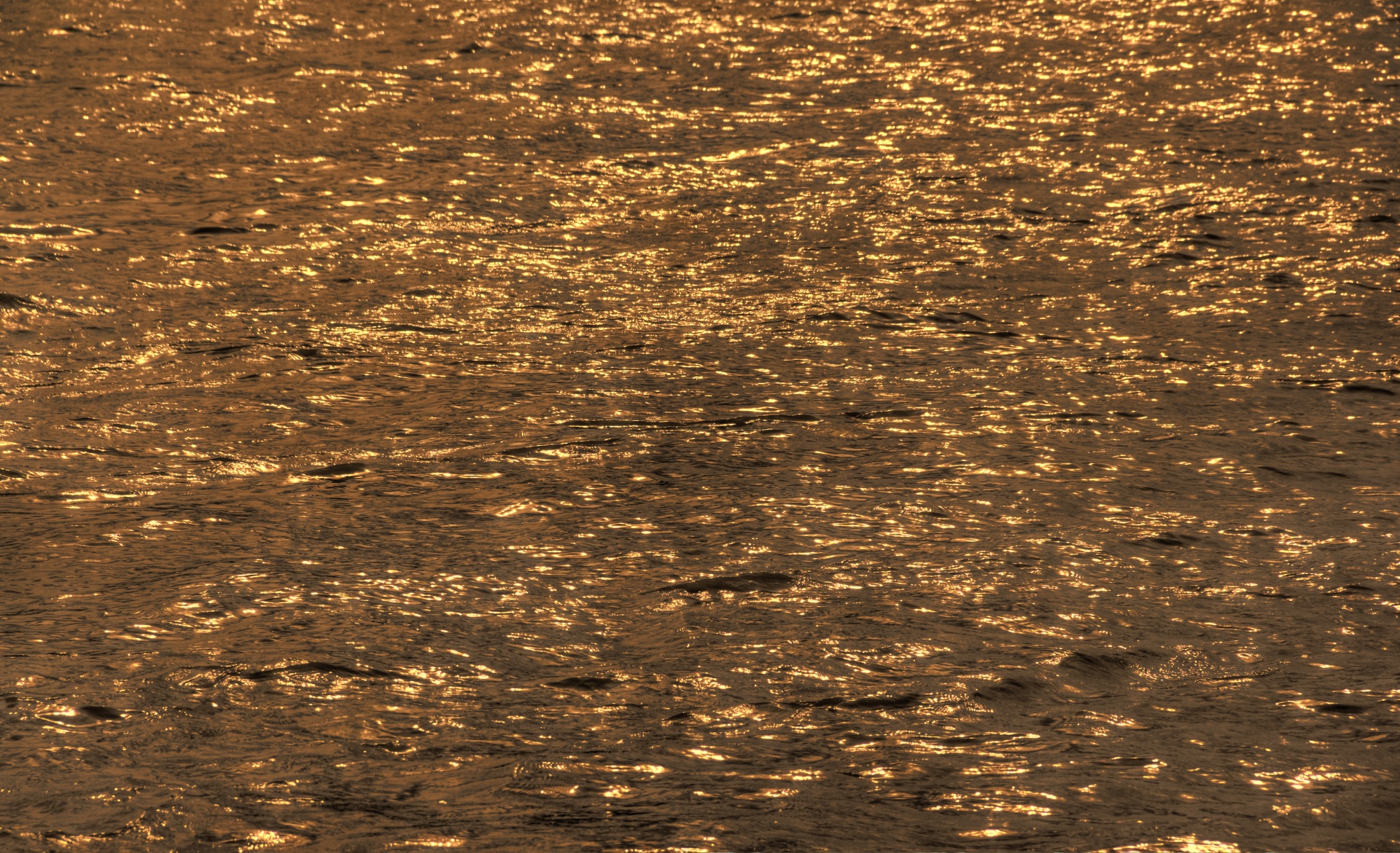 Gold Water
