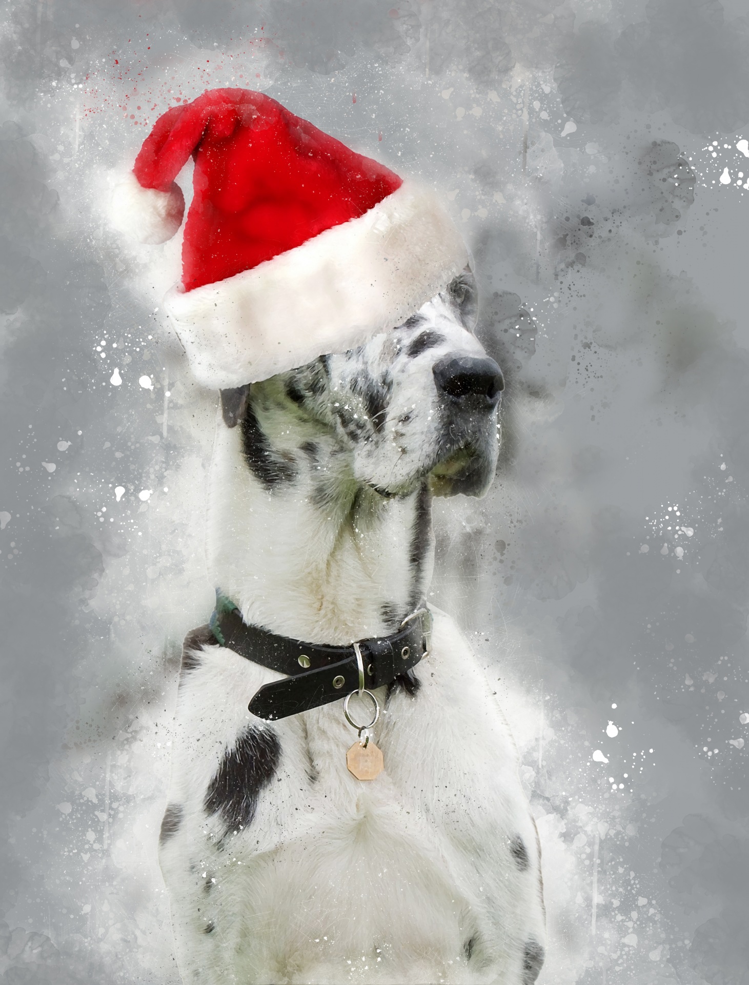 Great Dane Dog Santa Hat