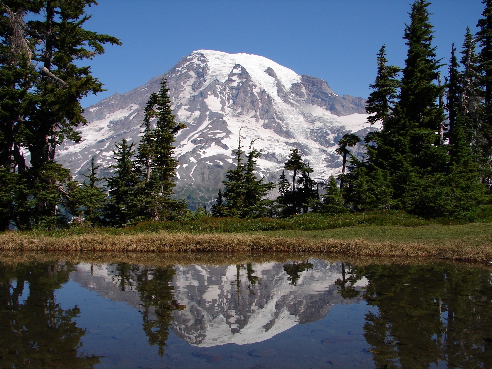 Scenic Landscape View of Mount Rainier
