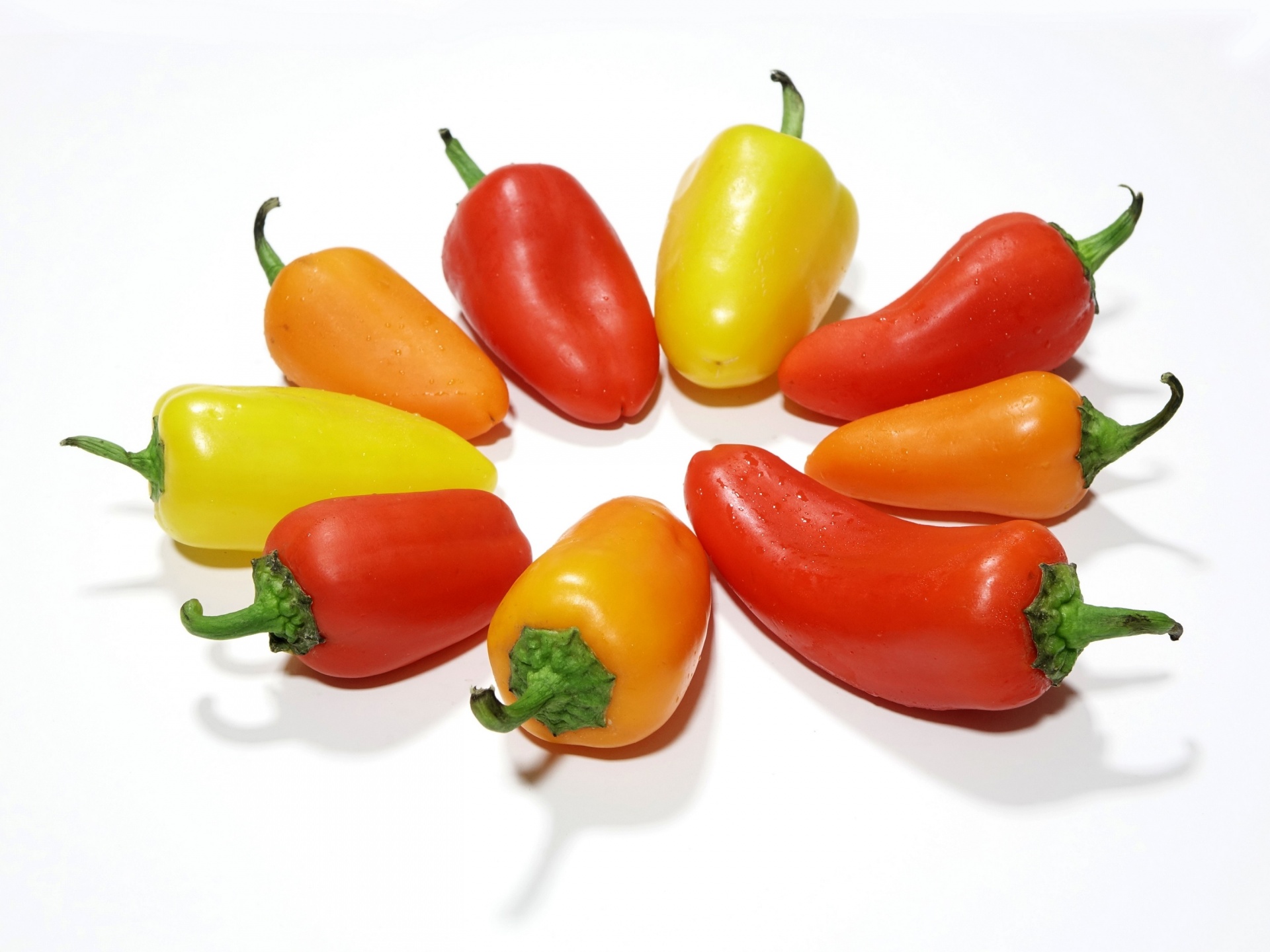 Circle of Peppers