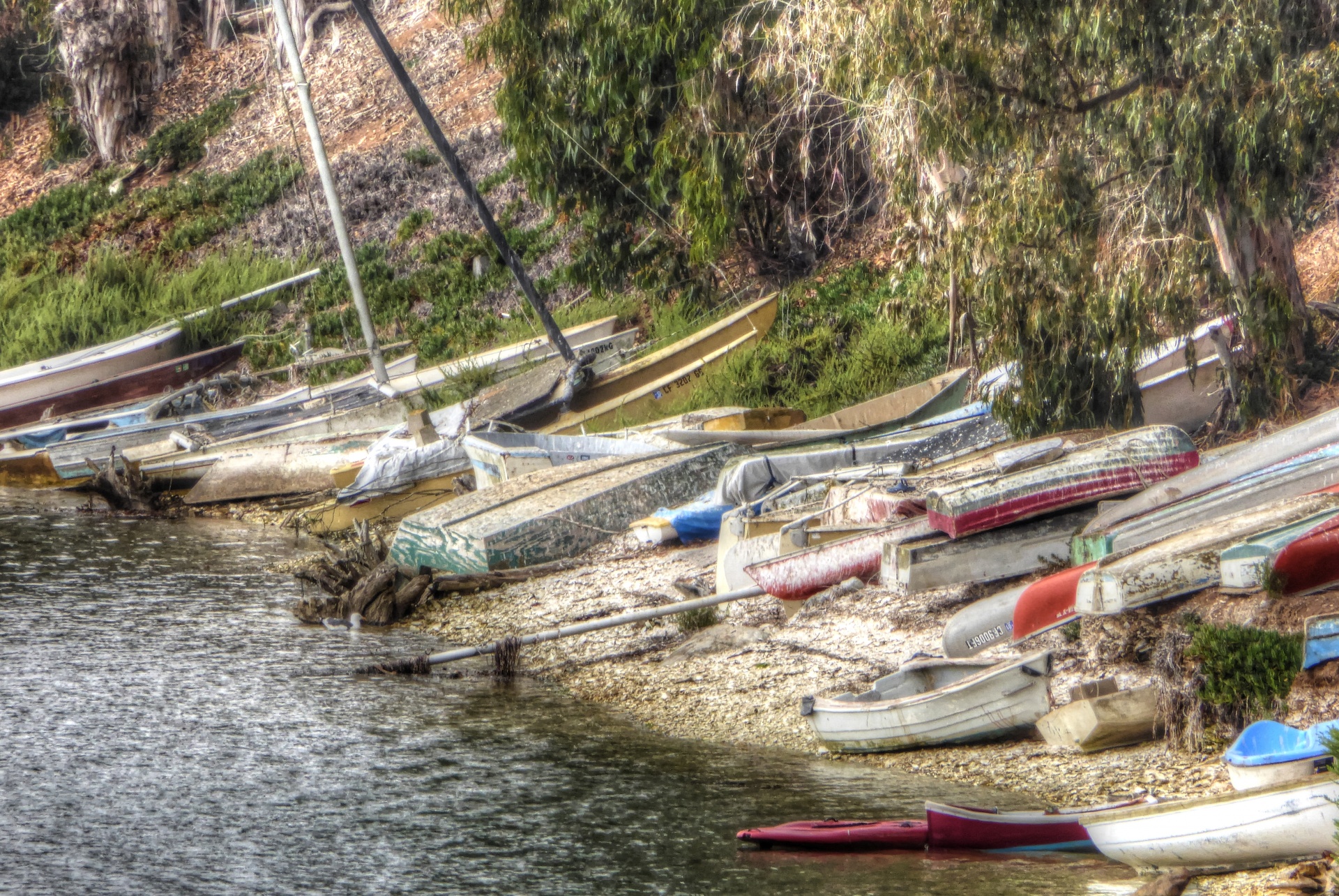 artistic touch applied to row of rowboats turned up on shore