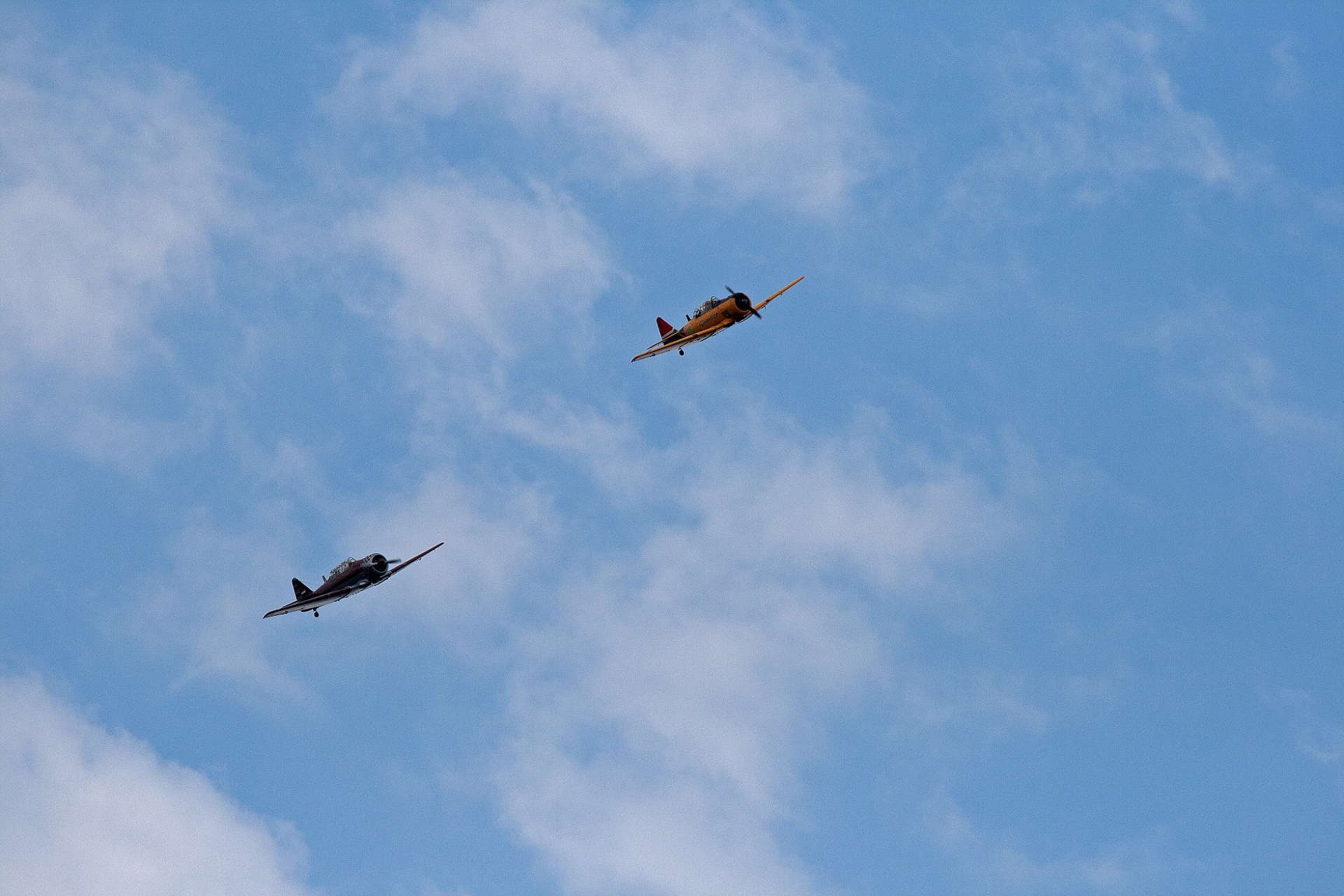 Two Harvards Flying In A Display