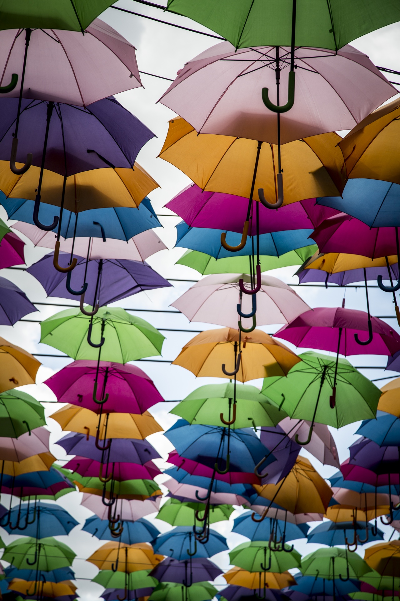Umbrella Street In France
