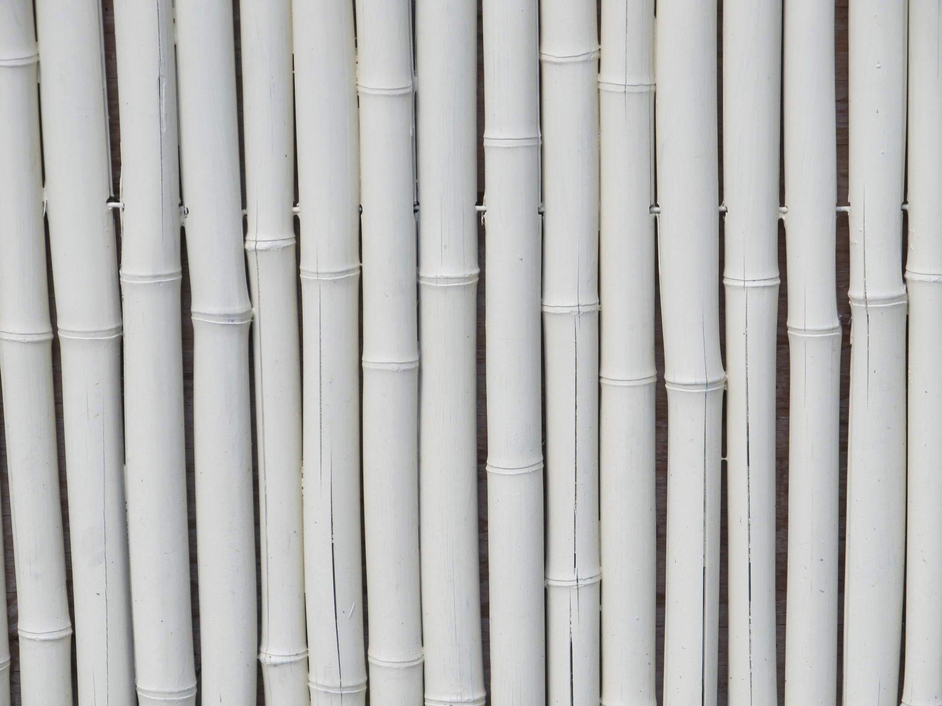White Bamboo