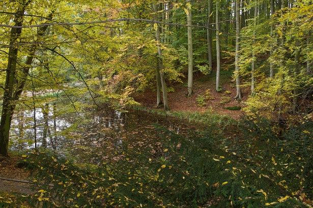 Autumn Colors Free Stock Photo - Public Domain Pictures