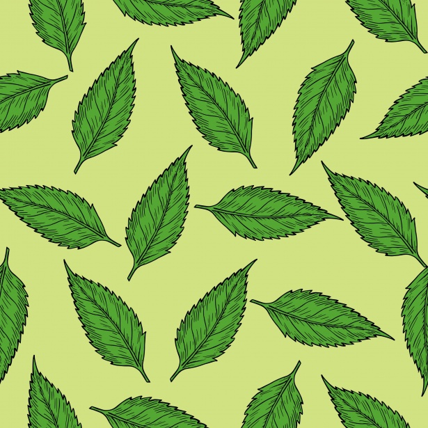 leaf-pattern-free-stock-photo-public-domain-pictures