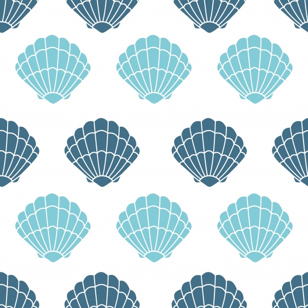 Shell wallpaper | Iphone wallpaper, Summer wallpaper, Cute wallpapers