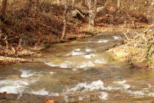 A Babbling Brook In Fall