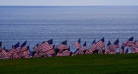 American Flags At Pepperdine