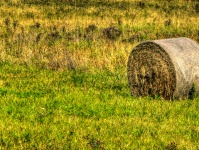 Bale Of Hay In Autumn