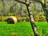 Bales Of Hay In Autumn