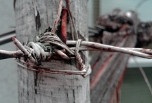 Barbed Wire And Nails