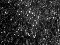 Black And White Tinsel Background