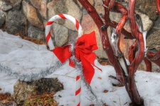 Candy Cane Decoration In Snow