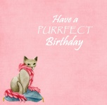 Cat Watercolor Birthday Card