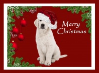 Christmas Puppy Dog Card