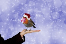 Christmas Robin With Gift