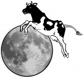 Cow And Moon