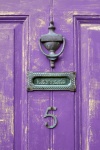 Door Purple Old